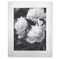 Darling Point 8x10 Photo Frame