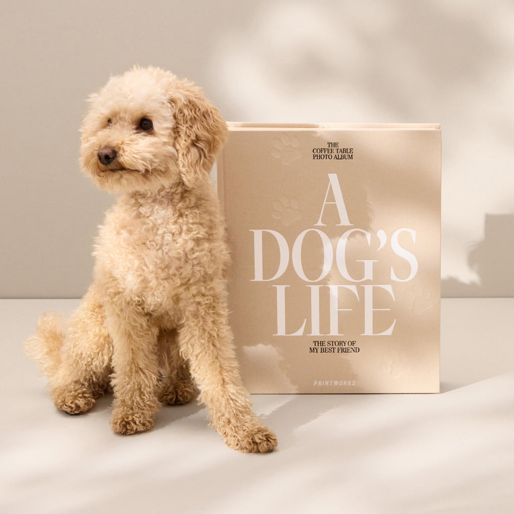 A Dog's Life Photo Album